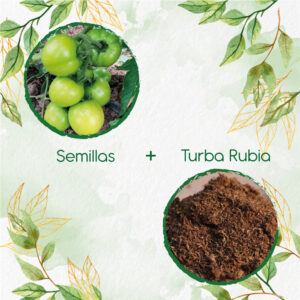 Kits De Siembra Para Tomate Chonto