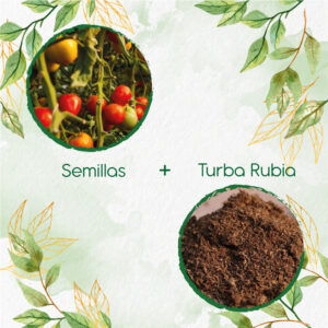 Kits De Siembra Para Tomate Marglover