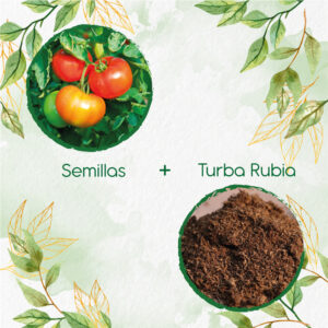 Kits De Siembra Para Tomate Rio Grande