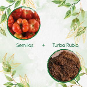 Kits De Siembra Para Tomate Riñon