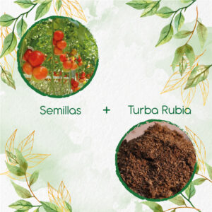 Kits De Siembra Para Tomate Santa Clara