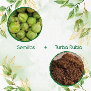 Kits De Siembra Para Tomatillo Tomate Mexicano