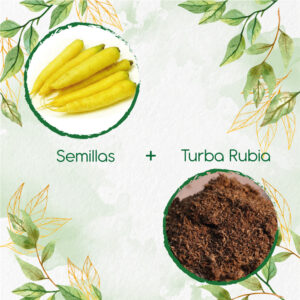 Kits De Siembra Para Zanahoria Amarilla