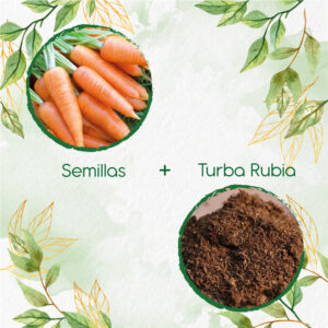 Kits De Siembra Para Zanahoria Chantenay