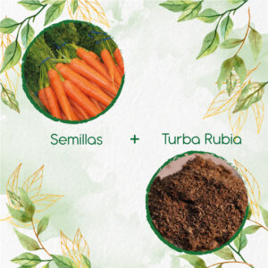 Kits De Siembra Para Zanahoria Danvers