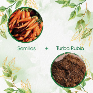 Kits De Siembra Para Zanahoria Nantes Baby