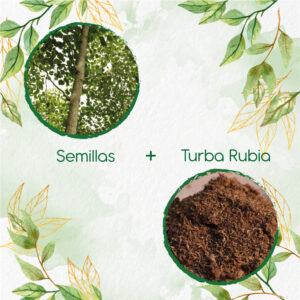 Kits De Siembra Para Melina Rodal