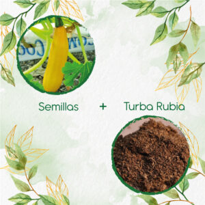 Kits De Siembra Para Zucchini Amarillo