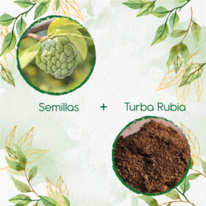 Kits De Siembra Para Anón