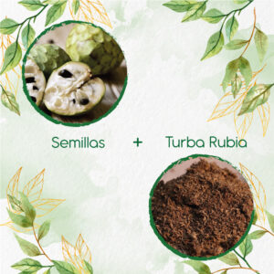 Kits De Siembra Para Chirimoya