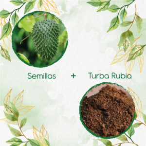 Kits De Siembra Para Guanábana