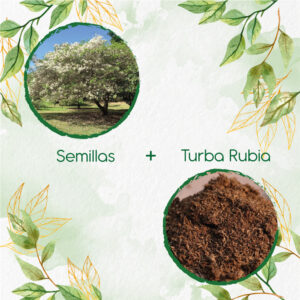 Kits De Siembra Para Móncoro