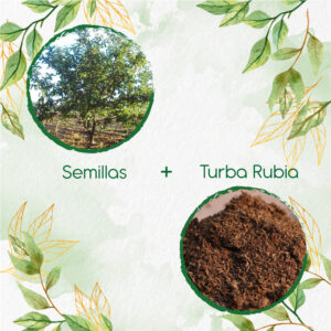 Kits De Siembra Para Guayaba Pera Roja