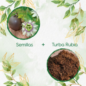 Kits De Siembra Para Gulupa