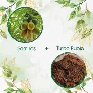 Kits De Siembra Para Papaya