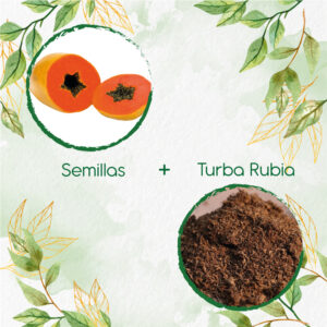 Kits De Siembra Para Papaya Maradol