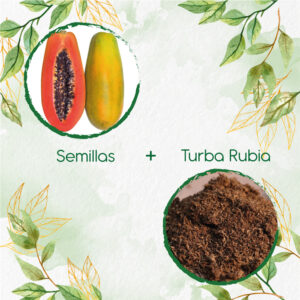 Kits De Siembra Para Papaya Paulina