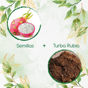 Kits De Siembra Para Pitahaya Roja