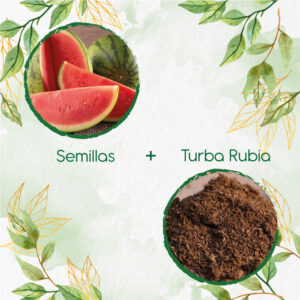 Kits De Siembra Para Sandia Fairfax