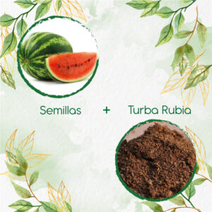 Kits De Siembra Para Sandia Jubilee