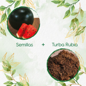 Kits De Siembra Para Sandia Sugar Baby