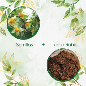 Kits De Siembra Para Uchuva