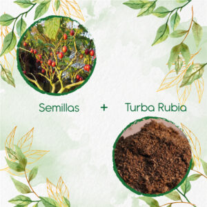 Kits De Siembra Para Tomate De Árbol