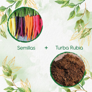 Kits De Siembra Para Zanahoria De Colores