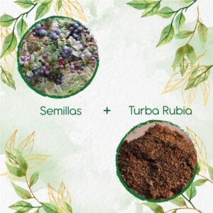 Kits De Siembra Para Mortiño