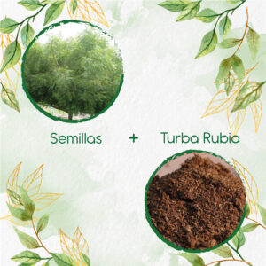 Kits De Siembra Para Nim