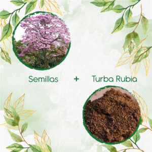 Kits De Siembra Para Ocobo