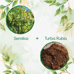 Kits De Siembra Para Guandul