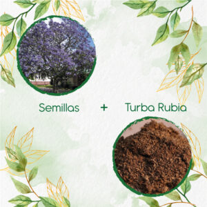 Kits De Siembra Para Pavito