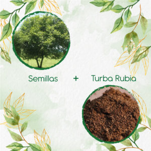 Kits De Siembra Para Guácimo