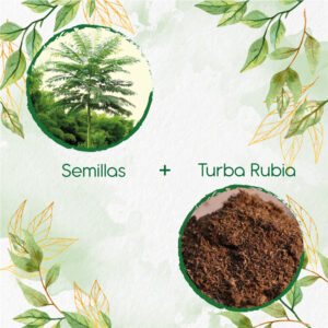 Kits De Siembra Para Tambor Frijolito