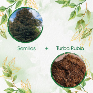 Kits De Siembra Para Guayacán De Manizales