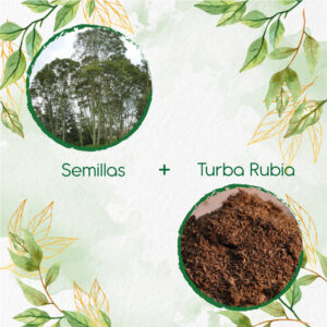 Kits De Siembra Para Urapan