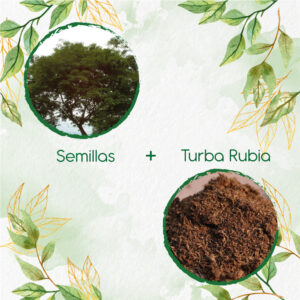 Kits De Siembra Para Yopo Café