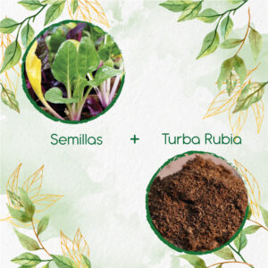 Kits De Siembra Para Acelga