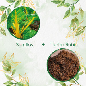 Kits De Siembra Para Acelga Amarilla