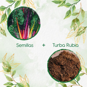 Kits De Siembra Para Acelga Colores