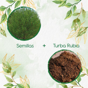 Kits De Siembra Para Hayuelo