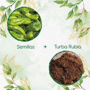 Kits De Siembra Para Ají Cubanelle