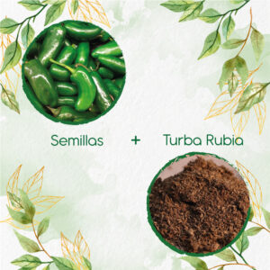 Kits De Siembra Para Ají Jalapeño