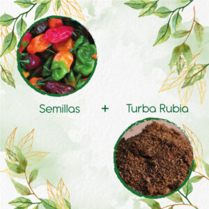Kits De Siembra Para Ají Habanero Colores
