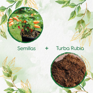 Kits De Siembra Para Ají Habanero Naranja