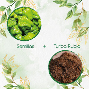 Kits De Siembra Para Ají Habanero Verde