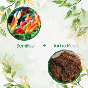 Kits De Siembra Para Ají Ornamental