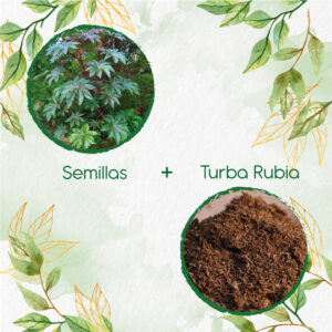 Kits De Siembra Para Higuerilla