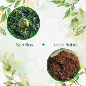 Kits De Siembra Para Alcachofa